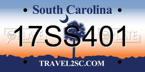17SS401 South Carolina License Plate