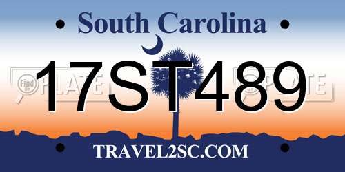17ST489 South Carolina License Plate