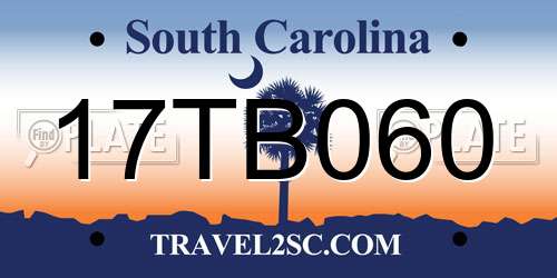 17TB060 South Carolina License Plate
