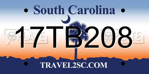 17TB208 South Carolina License Plate