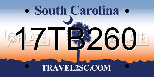 17TB260 South Carolina License Plate