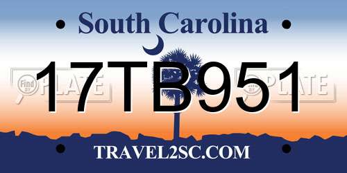 17TB951 South Carolina License Plate