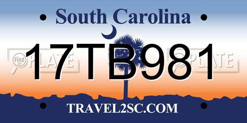 17TB981 South Carolina License Plate