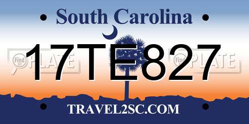 17TE827 South Carolina License Plate