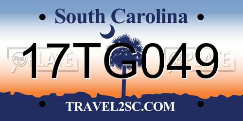 17TG049 South Carolina License Plate