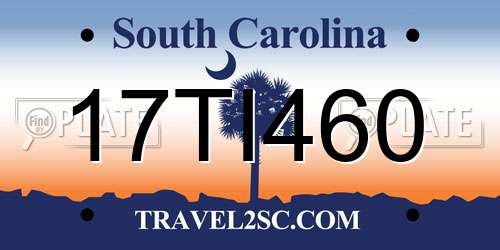 17TI460 South Carolina License Plate