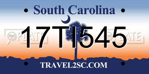 17TI545 South Carolina License Plate