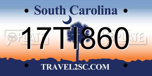 17TI860 South Carolina License Plate