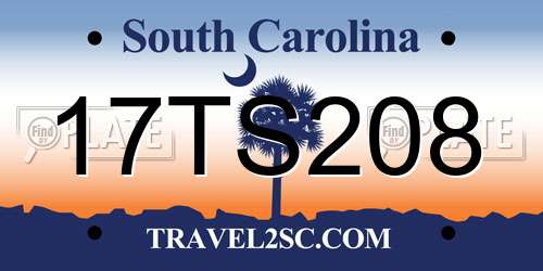 17TS208 South Carolina License Plate