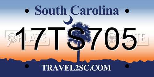 17TS705 South Carolina License Plate