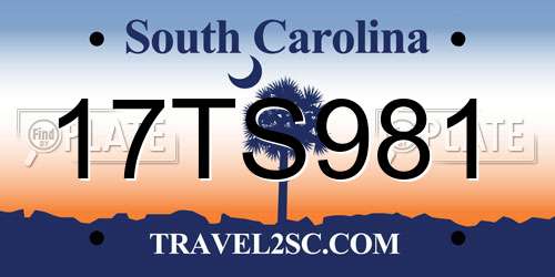 17TS981 South Carolina License Plate