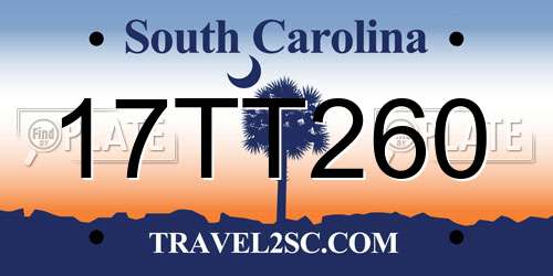 17TT260 South Carolina License Plate