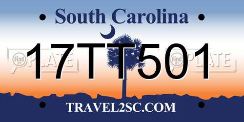 17TT501 South Carolina License Plate
