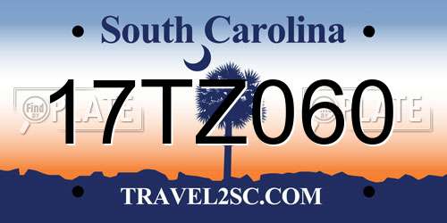 17TZ060 South Carolina License Plate