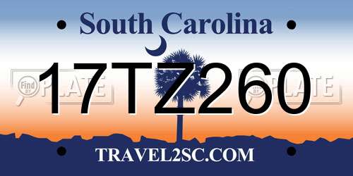 17TZ260 South Carolina License Plate