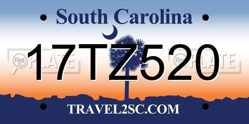 17TZ520 South Carolina License Plate