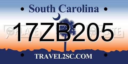 17ZB205 South Carolina License Plate