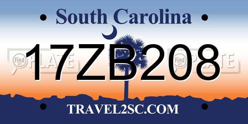 17ZB208 South Carolina License Plate