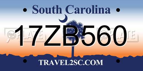 17ZB560 South Carolina License Plate