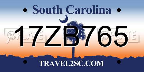 17ZB765 South Carolina License Plate