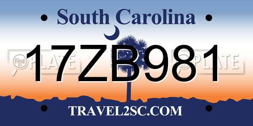 17ZB981 South Carolina License Plate