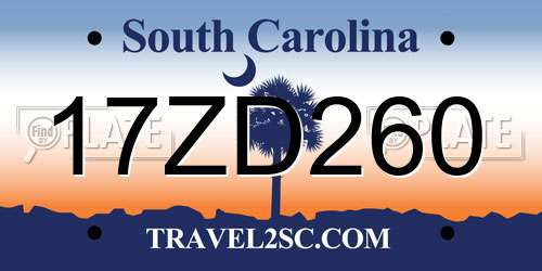 17ZD260 South Carolina License Plate