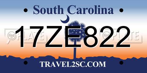 17ZE822 South Carolina License Plate