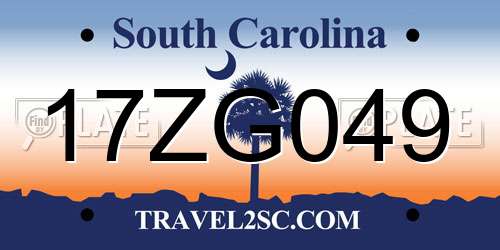 17ZG049 South Carolina License Plate