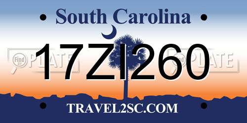 17ZI260 South Carolina License Plate