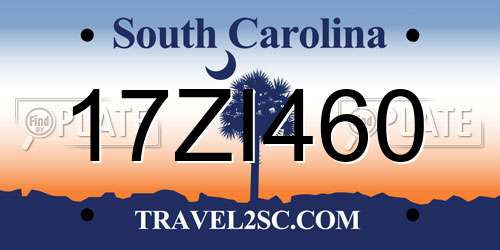17ZI460 South Carolina License Plate