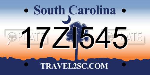 17ZI545 South Carolina License Plate