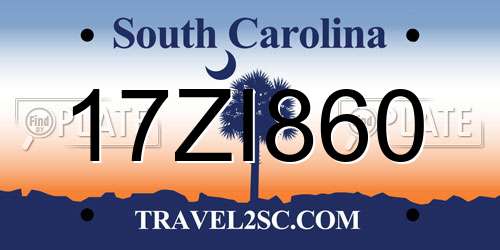17ZI860 South Carolina License Plate