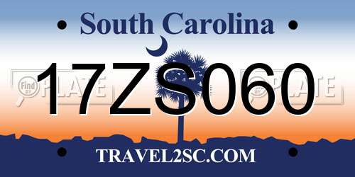 17ZS060 South Carolina License Plate