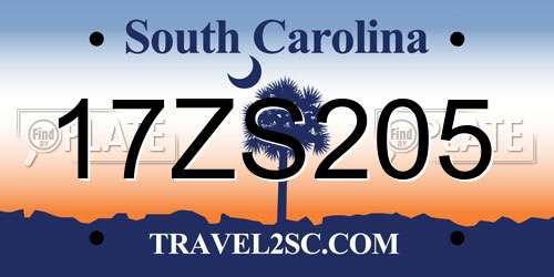 17ZS205 South Carolina License Plate