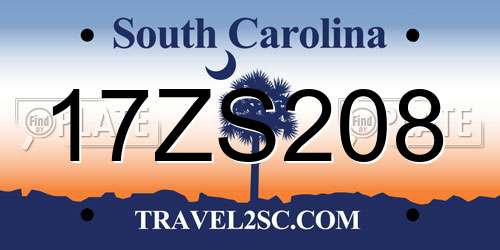 17ZS208 South Carolina License Plate