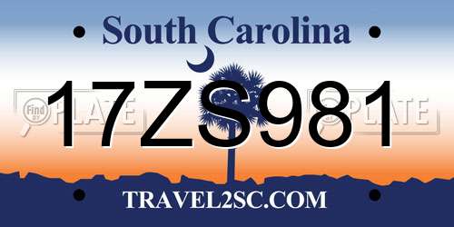 17ZS981 South Carolina License Plate