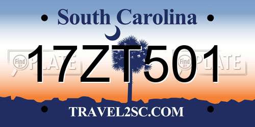 17ZT501 South Carolina License Plate