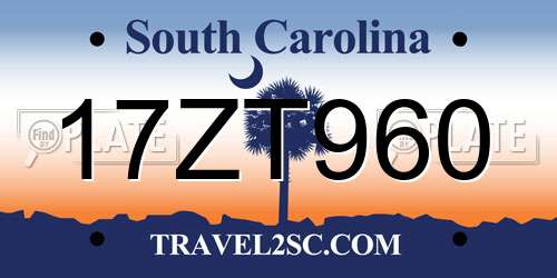 17ZT960 South Carolina License Plate