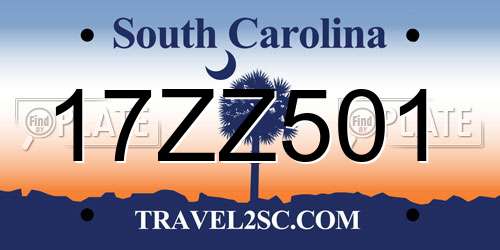 17ZZ501 South Carolina License Plate