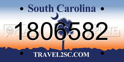 1806582 South Carolina License Plate