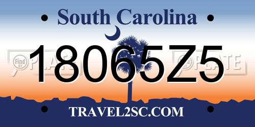 18065Z5 South Carolina License Plate