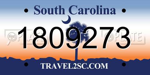 1809273 South Carolina License Plate