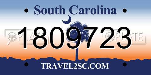 1809723 South Carolina License Plate