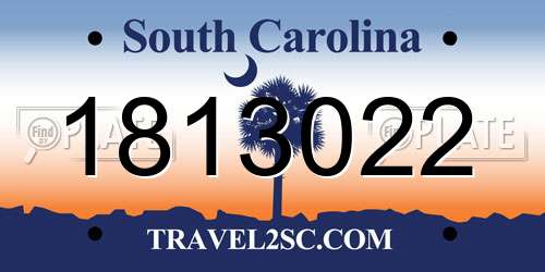 1813022 South Carolina License Plate