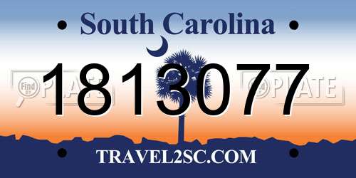 1813077 South Carolina License Plate