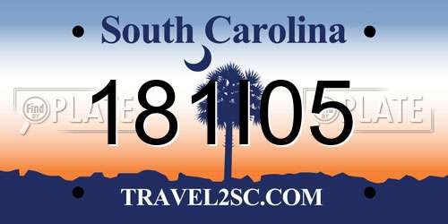181I05 South Carolina License Plate