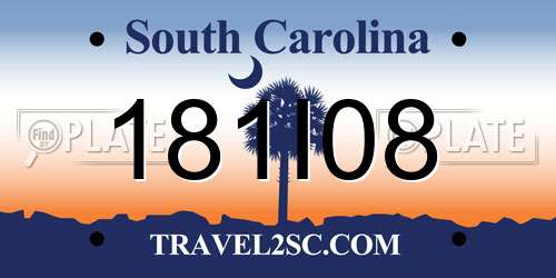 181I08 South Carolina License Plate