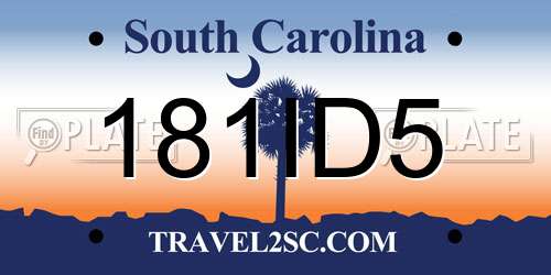 181ID5 South Carolina License Plate