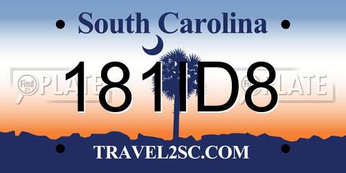 181ID8 South Carolina License Plate