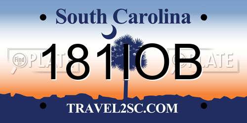 181IOB South Carolina License Plate